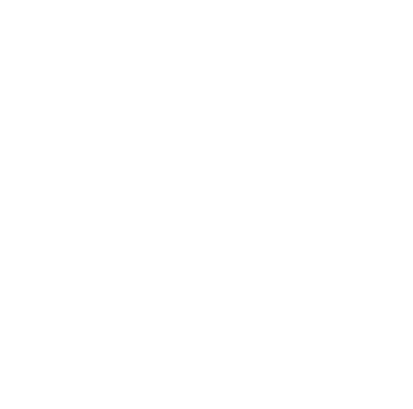 Flux Pro