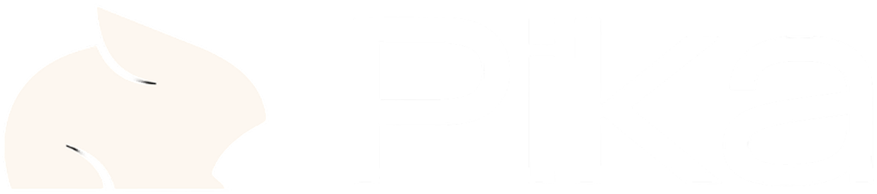 Pika 2.2